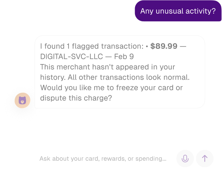 AI chat interface showing flagged transaction detection